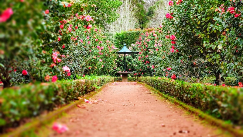 Résidence Les Jardins d'Olympe